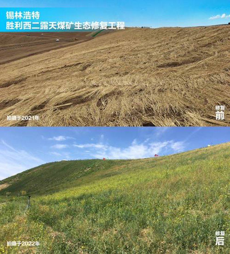 防沙治沙：护绿与生态平衡的艺术